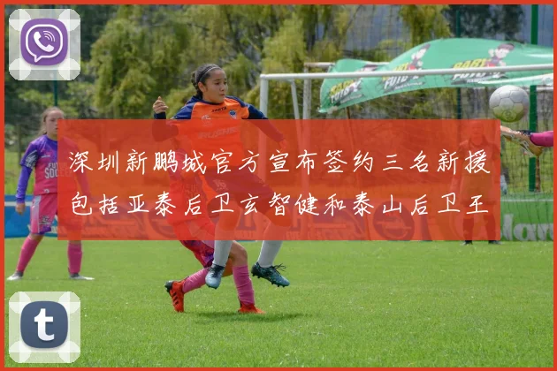 深圳新鹏城官方宣布签约三名新援包括亚泰后卫玄智健和泰山后卫王昱衡
